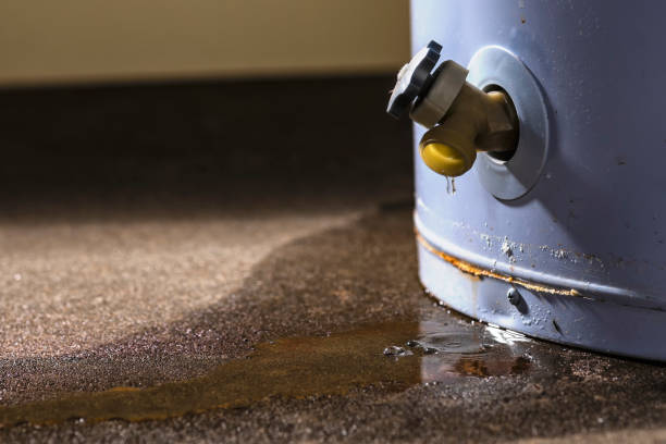 Best Flood restoration services  in Coopertown, TN