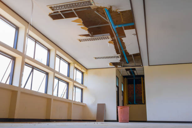 Best Sewage cleanup and water damage restoration  in Coopertown, TN