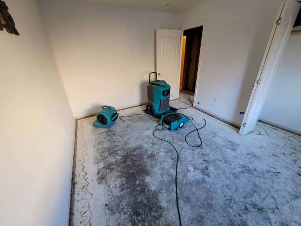 Best Flood damage cleanup  in Coopertown, TN