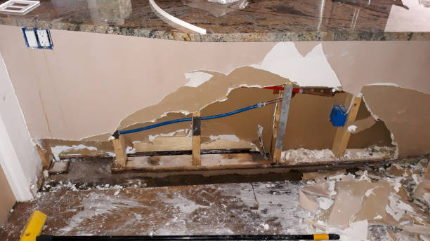 Best Carpet water damage restoration  in Coopertown, TN