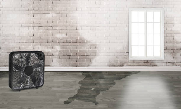 Best Residential water damage restoration  in Coopertown, TN