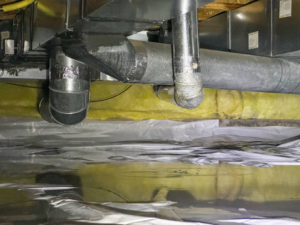 Best Water damage restoration near me  in Coopertown, TN