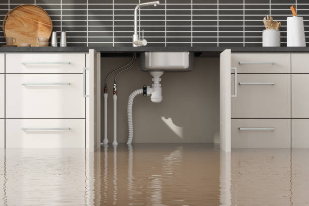 Best Ceiling water damage repair  in Coopertown, TN